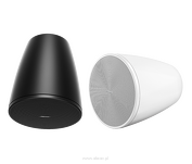 Bose DesignMax DM6PE - 2
