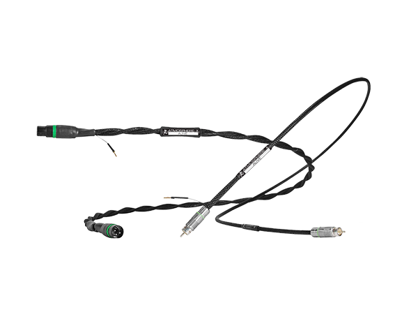 Synergistic Research Atmosphere-SX Digital UEF Alive XLR
