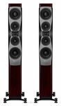 Dynaudio Confidence 50 (raven wood)  - 4
