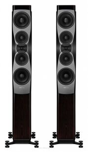 Dynaudio Confidence 50 (raven wood) 