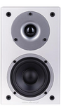 Wilson Raptor Mini - 8