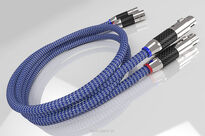 Ricable Invictus XLR - 2