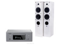 Denon RCDN-10 + WILSON RAPTOR 5 - 6