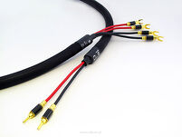 Purist Audio Design Aqueous Aureus Bi-Wire Speaker - 2