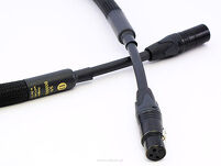 Purist Audio Design Dominus cyfrowy AES/EBU - 3