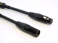 Purist Audio Design Dominus cyfrowy AES/EBU - 4