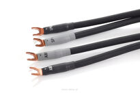 Shunyata Research Delta v2 SP - 2