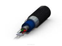 Purist Audio Design Aqueous Aureus cyfrowy AES/EBU - 2