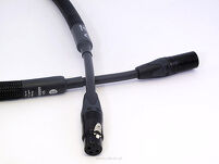 Purist Audio Design Aqueous Aureus cyfrowy AES/EBU - 3