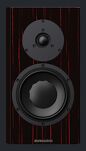 Dynaudio Special Forty - 5