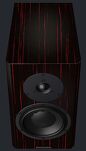 Dynaudio Special Forty - 2