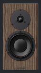 Dynaudio Special Forty - 9