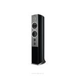 Audiovector R6 Avantgarde - 5