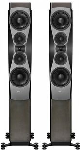 Dynaudio Confidence 60 (smoke) 