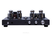 Rogue Audio Cronus Magnum III - 2