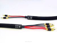 Purist Audio Design Venustas Bi-Wire Speaker - 3