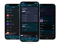 WiiM Pro Plus - 3