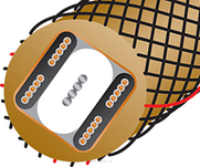 WireWorld Gold Starlight Coaxial (GSV) - 2