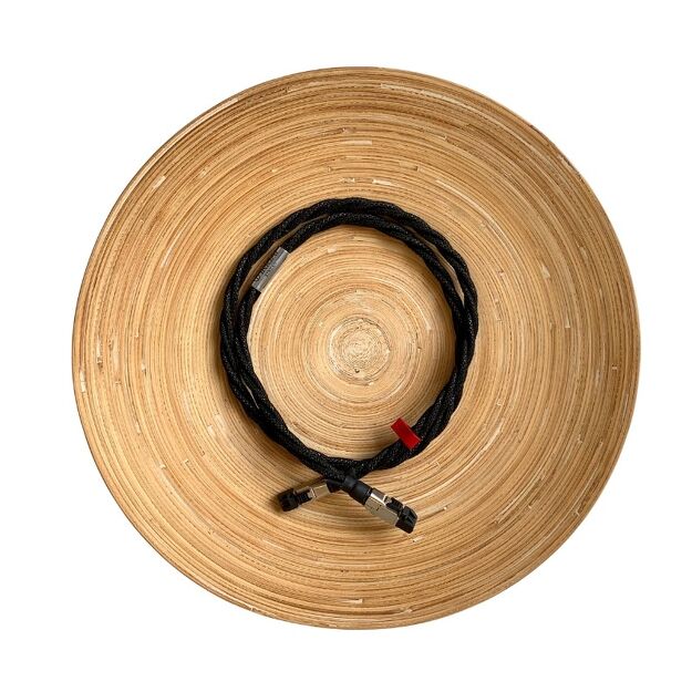 Ikigai Audio Kinzan 100Mbit Ethernet