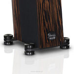 Audio Physic Avantera III (Ebony) - 3