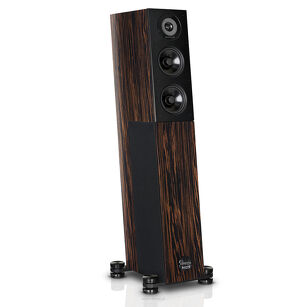 Audio Physic Avantera III (Ebony)