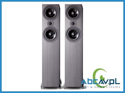 Cambridge Audio SX 80 - Kolumna podłogowa - Salon Poznań