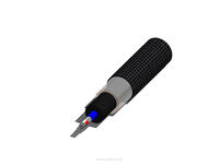 Purist Audio Design 25th Anniversary RCA - 4