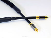 Purist Audio Design 25th Anniversary RCA - 2