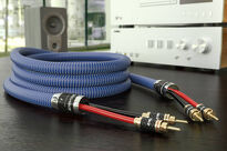 Ricable Invictus Speaker Reference - 3