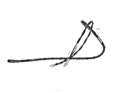 Synergistic Research Atmosphere-SX Digital UEF Excite XLR