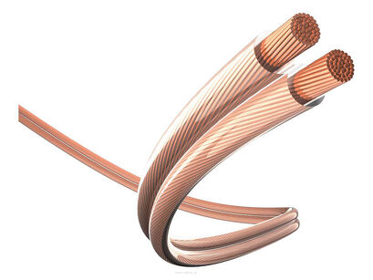 Inakustik - STAR LS 2.5MM TRANS (1m) - STAR-Przewód głośnikowy (1m) - Salon Poznań