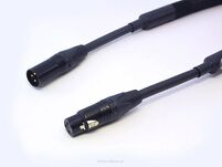 Purist Audio Design MUSAEUS DR - 2