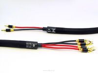 Purist Audio Design Musaeus Bi-Wire Speaker - 3
