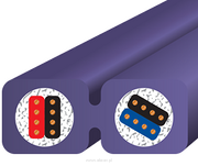 Wireworld Pulse (PUN) (PUM) (MPF) - 2