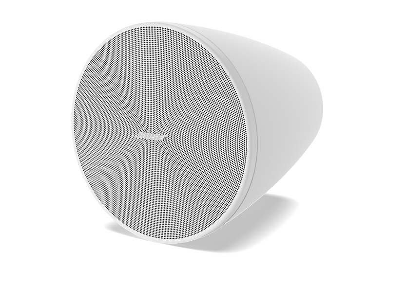 Bose DesignMax DM5P