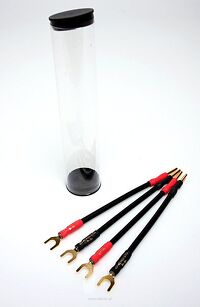 Chord Signature Speaker Links