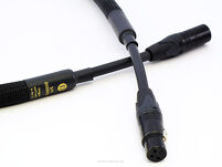 Purist Audio Design 25th Anniversary cyfrowy AES/EBU - 3