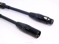 Purist Audio Design 25th Anniversary cyfrowy AES/EBU - 4