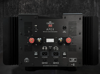 Gryphon Audio Apex Mono - 2