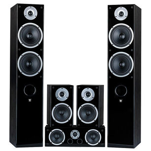 Wilson - Raptor 7/1/Vokal 