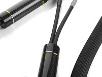 Shunyata Research Alpha v2 SP - 3