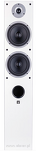 Wilson Raptor 7 - 8