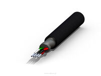Purist Audio Design Genesis cyfrowy AES/EBU - 2