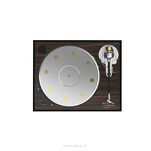 Acoustic Signature Double X NEO - 4