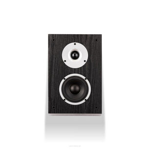 Wilson - RAPTOR X - BLACK - Kolumny głośnikowe ATMOS - Salon Poznań