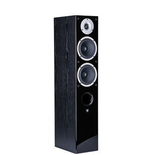 Wilson - RAPTOR 5 - Black - Kolumny głośnikowe podłogowe - Salon Poznań
