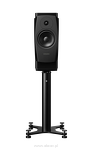 Dynaudio Confidence 20A - 4