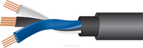 WireWorld Equinox 8 Subwoofer Cable (ESW) - 2