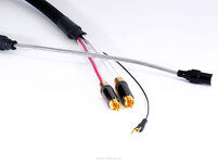 Purist Audio Design Aqueous Aureus PHONO - 2