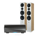 Denon HEOS AMP HS2 + WILSON SEVEN - 2
